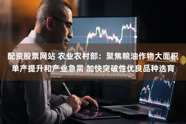 配资股票网站 农业农村部：聚焦粮油作物大面积单产提升和产业急需 加快突破性优良品种选育
